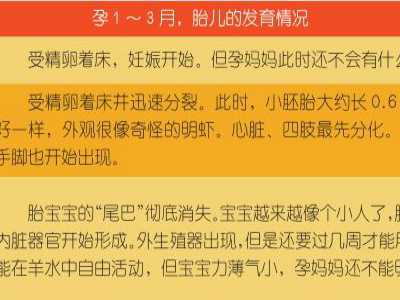揭秘胎宝宝的发育情况（上）...